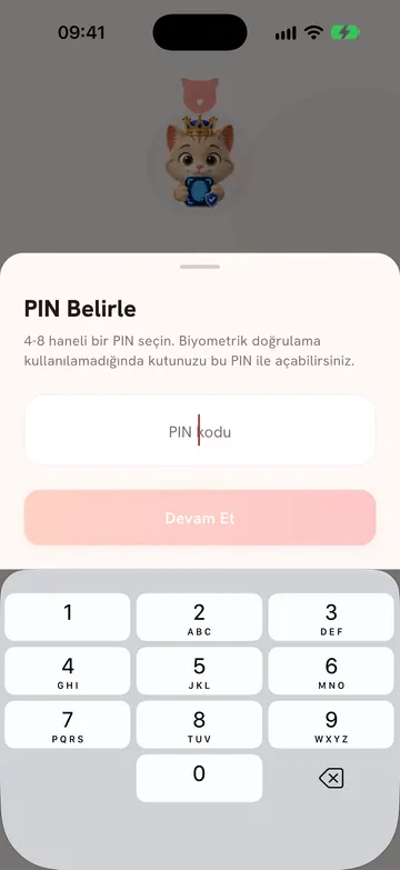 Set PIN screen with a 4–8 digit field and the number pad